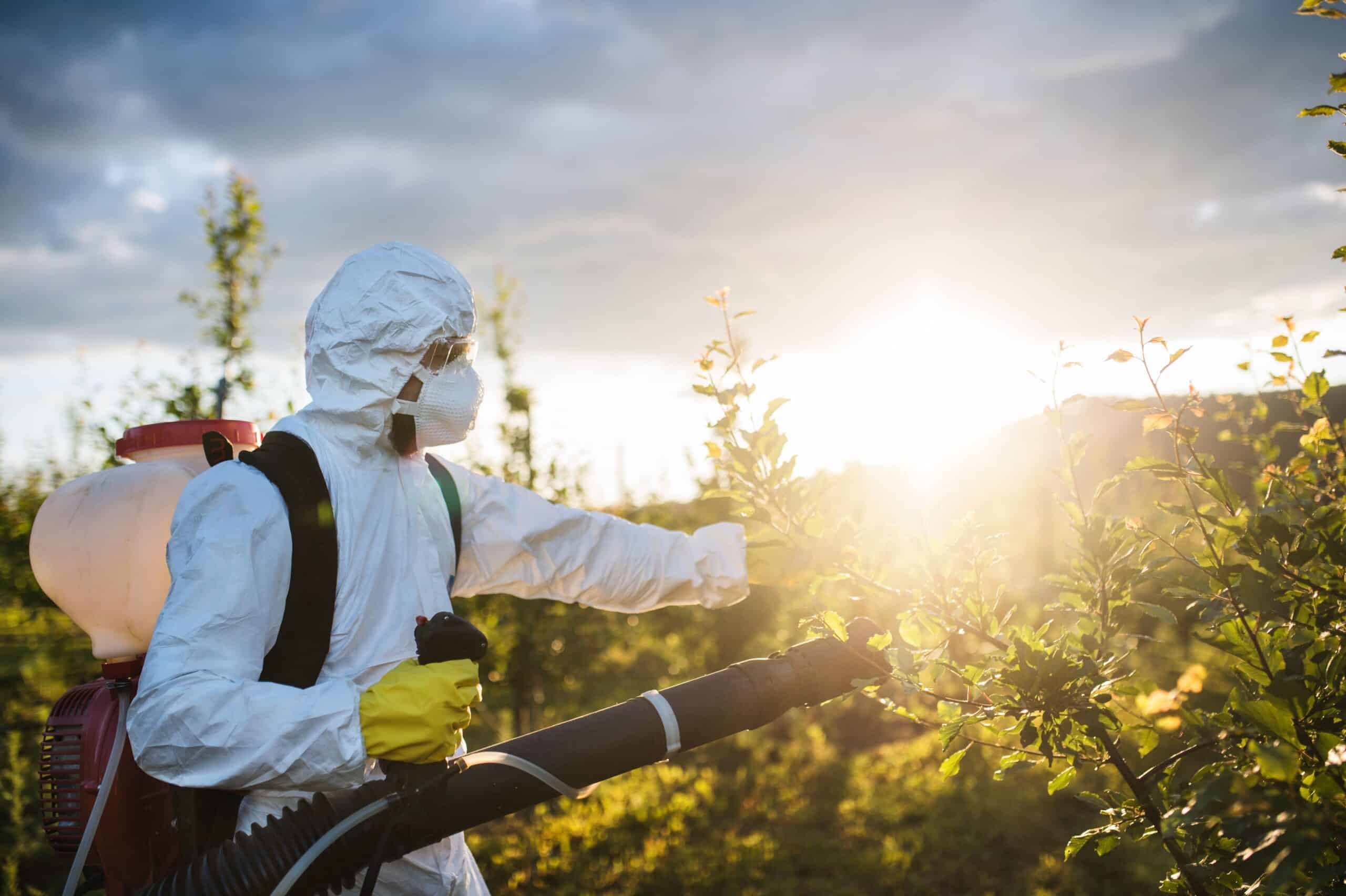 a-farmer-outdoors-in-orchard-at-sunset-using-pest-2024-10-18-17-42-18-utc