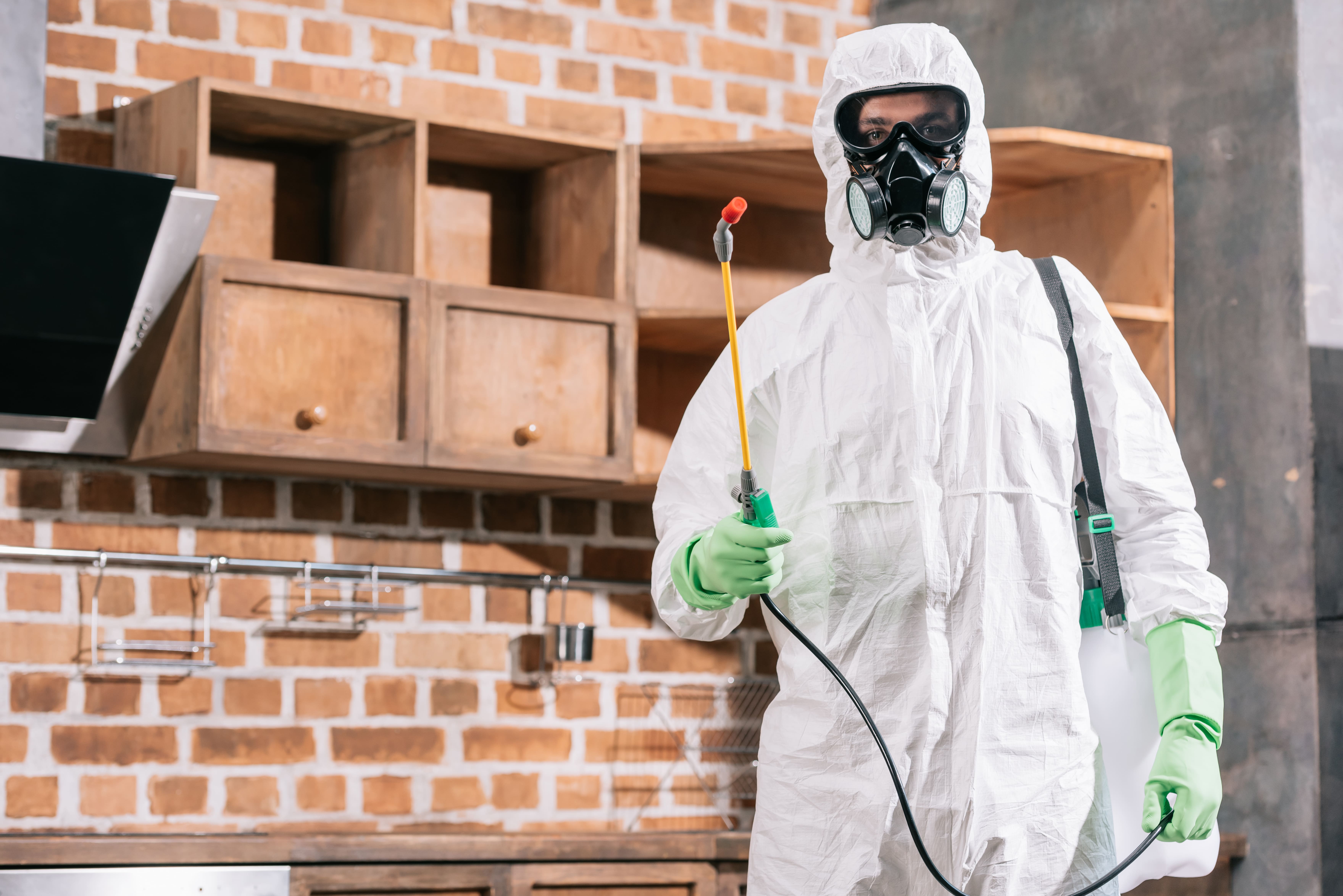 pest-control-worker-in-uniform-standing-with-spray-2024-11-18-11-53-56-utc