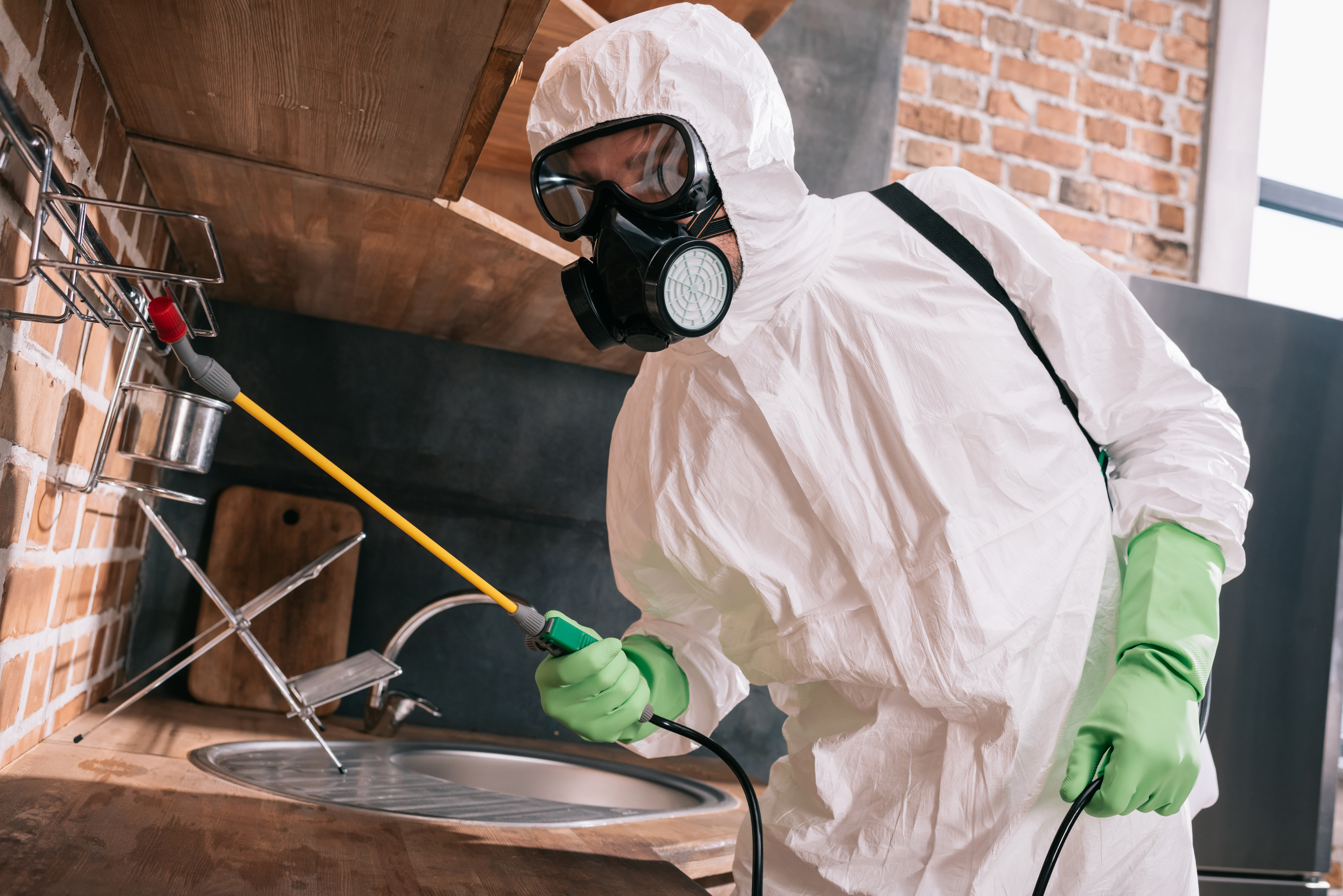 pest control worker spraying pesticides on metal shelves in kitchen